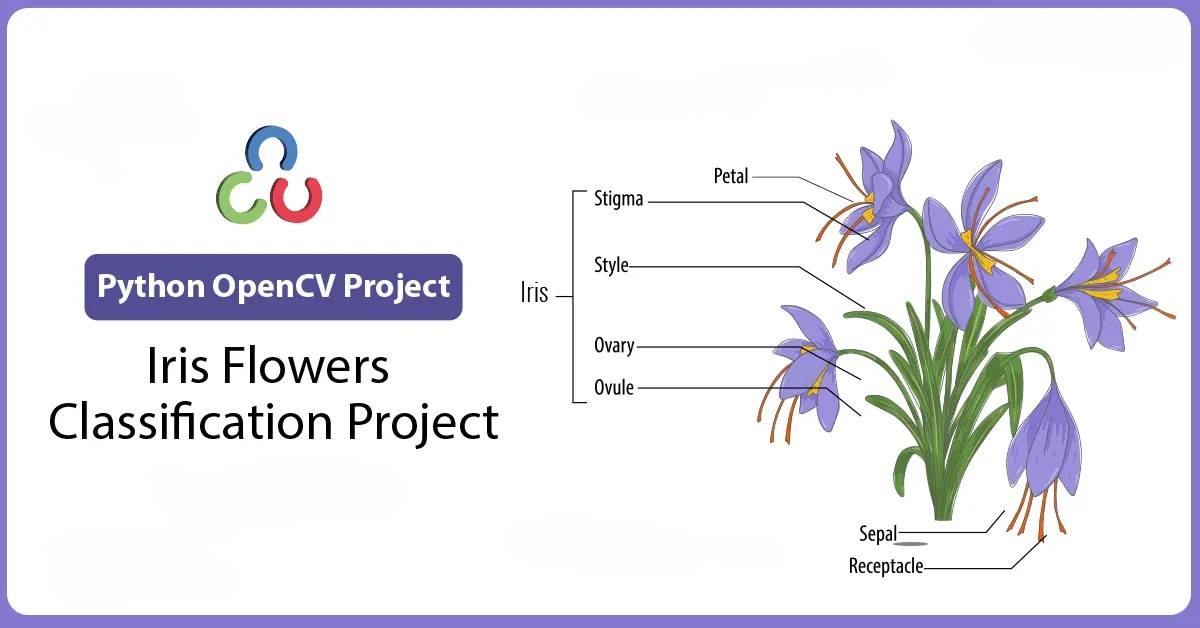 Iris Flower Classification